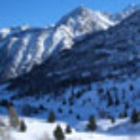 PANDA Food kebab burger